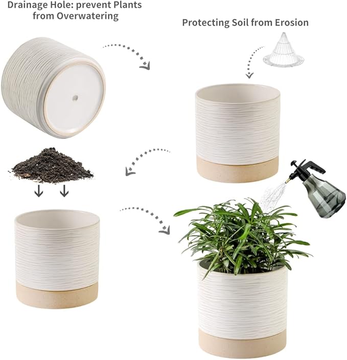 Nihow Ceramic Plant Pot: 6 Inch Planter with Drainage Hole & Saucer for Indoor & Outdoor Plants - Cylinder Round Flower Pot for Succulent/Herbs/Violets - Cream White & Brown - Bloomnest