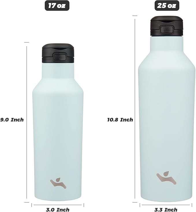 Insulated Water Bottle with Straw,25 OZ Double Wall Vacuum Stainless Steel Water Flask with 2 Lids,Cyan Blue - Bloomnest