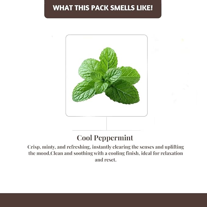 Folkulture Incense Sticks with Holder (100 Sticks)| Peppermint Incents Stick for Focus,Aromatherapy, Relaxation Gifts for Women | No Charcoal,Organic,Non Toxic, 45 Mins, Slow Burning Insence-Sticks FOLKULTURE