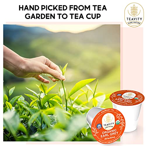 Organic Earl Grey Tea Pods for Keurig - Caffeinated Unsweet Black Tea for K Cup Brewing by Teavity (12 Tea Pods) - Bloomnest