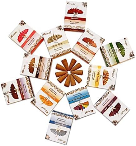 ARO VATIKA Vedic Natural Masala 120 Incense Cones in Pack of 12 Boxes |12 Assorted Fragrances Dhoop Cones | Best for Prayer, Reiki, Meditation and Relaxation | Burn time- 25 Mins (Assorted)