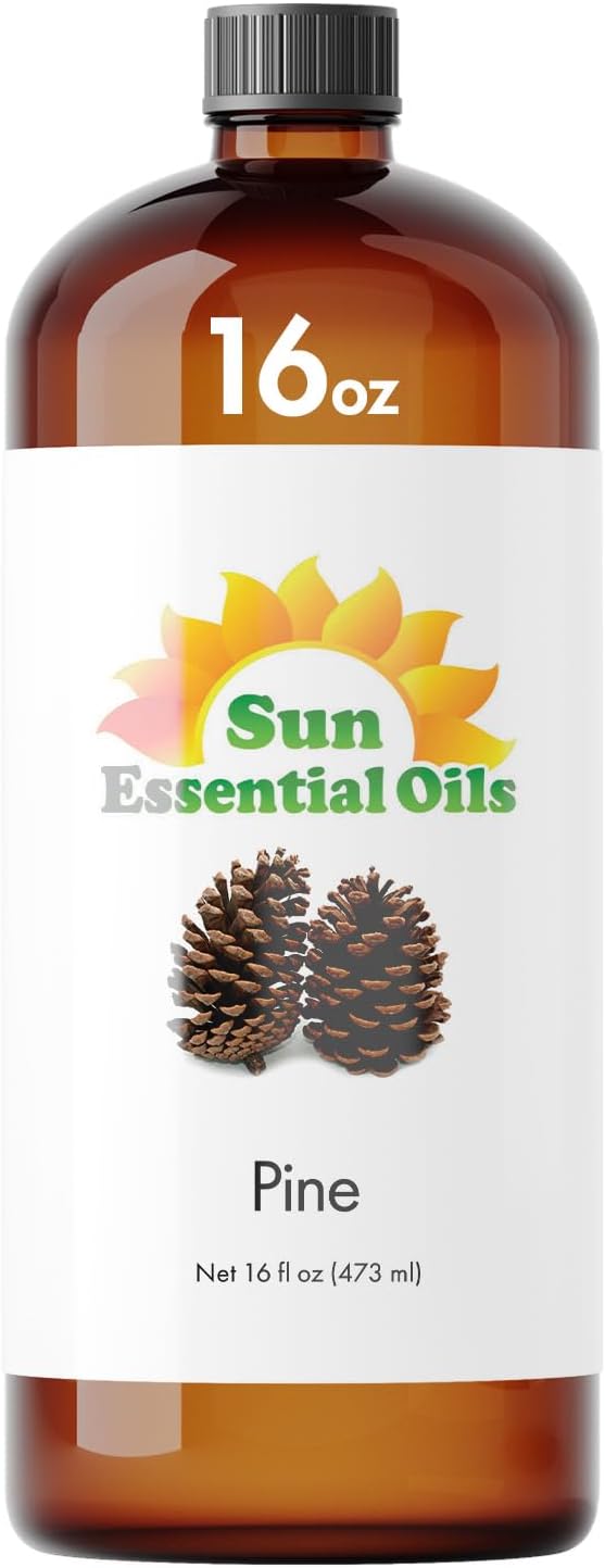 Sun Essential Oils – Pine Essential Oil 16 oz Bulk for Diffuser, Skin, Aromatherapy Massage, Humidifier, Forest Pine Scented Oil for Candle, Lotion & Soap Making, Room Fragrance - Bloomnest