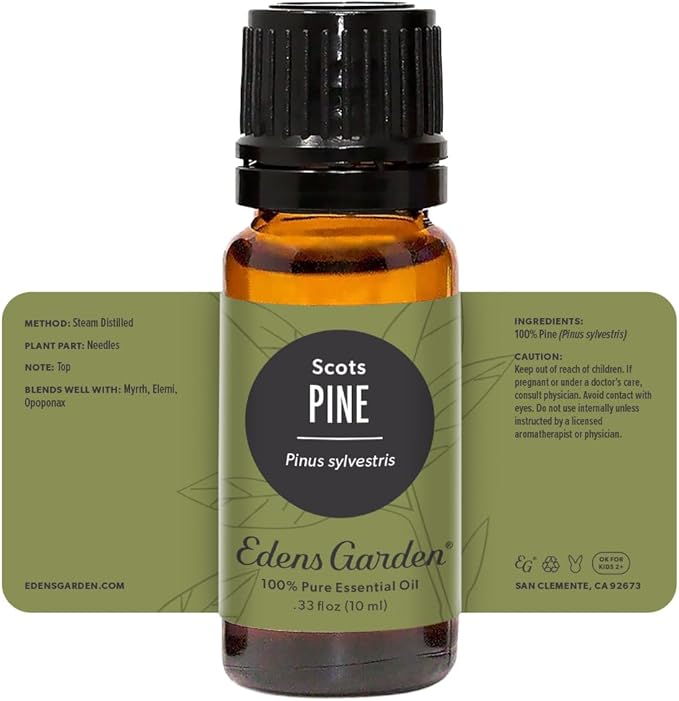 Edens Garden Pine- Scots Essential Oil- 100% Pure Premium Grade, Undiluted, Natural, Therapeutic, Aromatherapy, The Best for Diffuser, Candle, Humidifiers, Kid Safe 10 ml (.33 fl oz) - Bloomnest