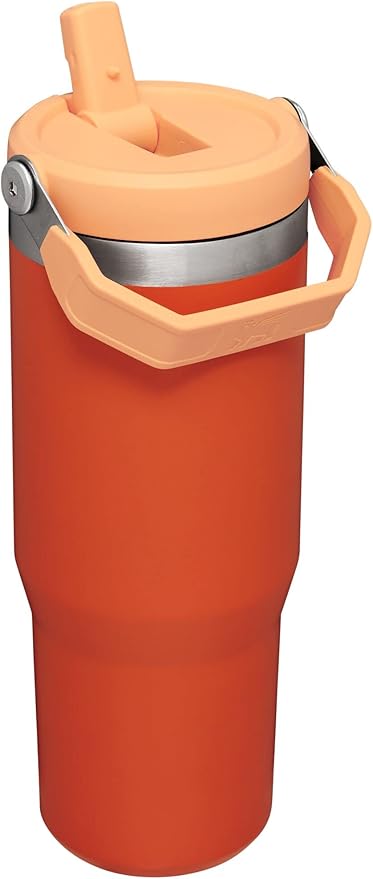 STANLEY IceFlow Flip Straw Tumbler with Handle 30 oz | Twist On Lid and Flip Up Straw | Leak Resistant Water Bottle | Insulated Stainless Steel |BPA-Free | Tigerlily - Bloomnest