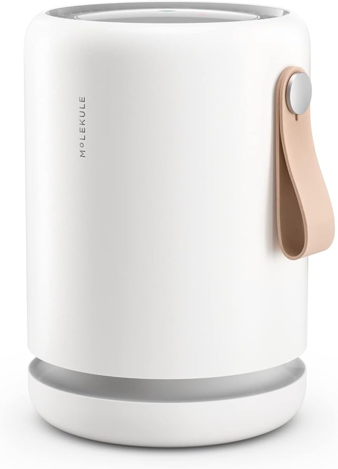 Molekule Air Purifier Mini+ - Purifies Rooms Up to 250 Sq Ft - Smart Purifier with High Pollutant Capture Rate - Air Quality Monitoring Capabilities - White - Bloomnest