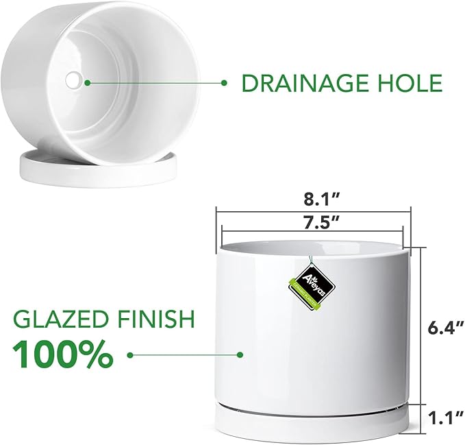Aveyas 8 inch Ceramic Plant Pot with Drainage Hole and Saucer - Suitable for Indoor and Outdoor Use, Modern Planters for House Garden Flower Tree Snake Monstera Plants (8", Glossy White) - Bloomnest