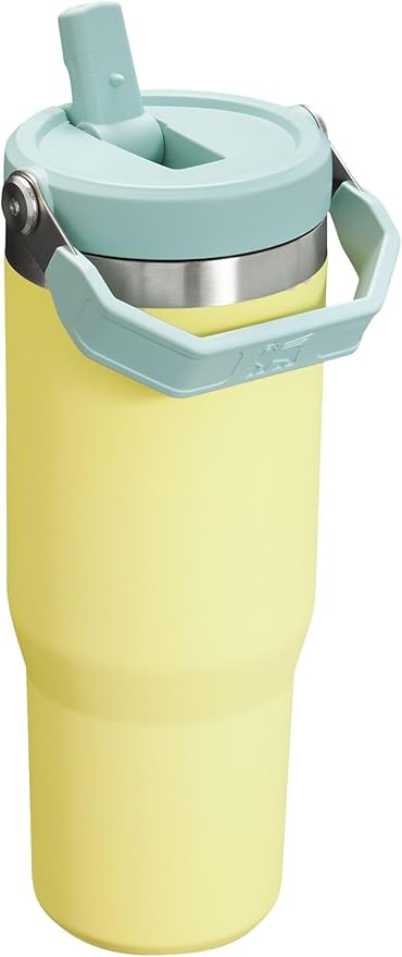 Stanley IceFlow Flip Straw Tumbler with Handle 30 oz | Twist On Lid and Flip Up Straw | Leak Resistant Water Bottle | Insulated Stainless Steel |BPA-Free | Pomelo - Bloomnest