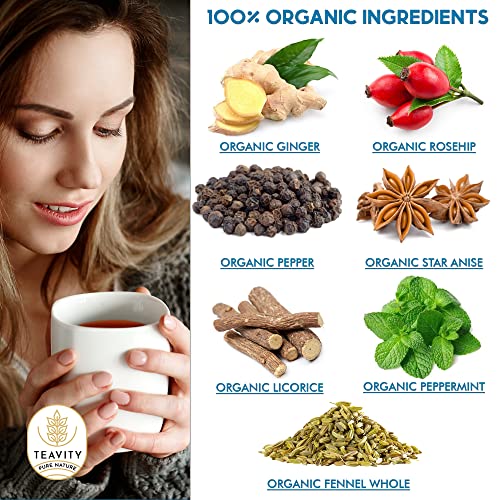 Organic Tea Pods with Ginger, Peppermint, Fennel, Licorice, & Rosehip Digest Delight by Teavity (24 Tea Pods) - Bloomnest