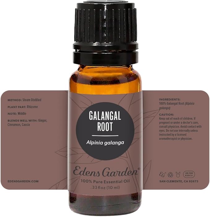 Edens Garden Galangal Root Essential Oil, 100% Pure Therapeutic Grade (Undiluted Natural/Homeopathic Aromatherapy Scented Essential Oil Singles) 10 ml - Bloomnest