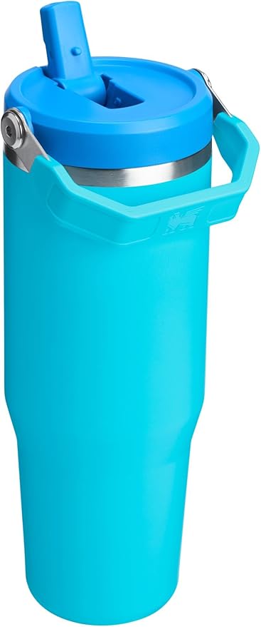 Stanley IceFlow 2.0 Flip Straw Tumbler with Handle 30 oz | Twist On Lid and Flip Up Straw | Leak Resistant Water Bottle | Insulated Stainless Steel | BPA-Free | Splash - Bloomnest