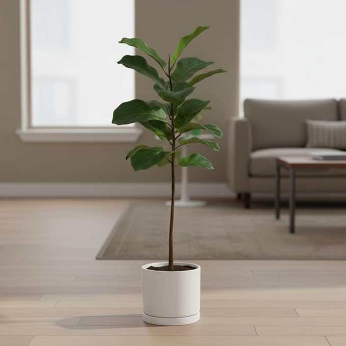 Aveyas 8 inch Ceramic Plant Pot with Drainage Hole and Saucer - Suitable for Indoor and Outdoor Use, Modern Planters for House Garden Flower Tree Snake Monstera Plants (8", Matte White) - Bloomnest