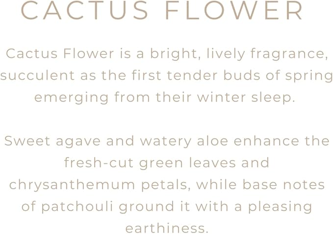River Birch Candles Cactus Flower Scented Candle | Premium, All-Natural, Non-Toxic, Soy Candles | 16oz 90 Hr Burn Time | Cozy Relaxing Gifts for Home - Bloomnest