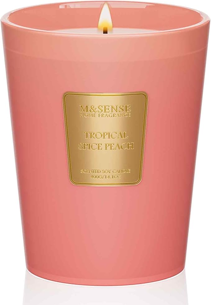 M&SENSE Tropical Spice Peach Scented Candle Home Decor, Natural Soy Wax,4.1oz 60 Hours Long Lasting Slow Burning, Aromatherapy Candle for Stress Relief - Bloomnest
