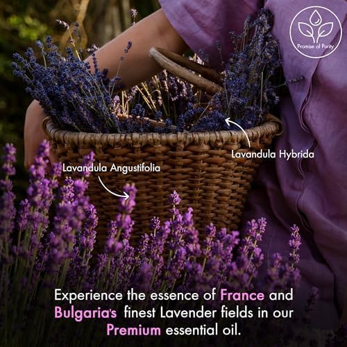 Majestic Pure Lavender Essential Oil with Glass Dropper - Huge 4 Fl Oz - 100% Pure and Natural Lavender Oil - Premium Grade Essential Oils for Diffuser, Aromatherapy, Soap and Candle Making - Bloomnest