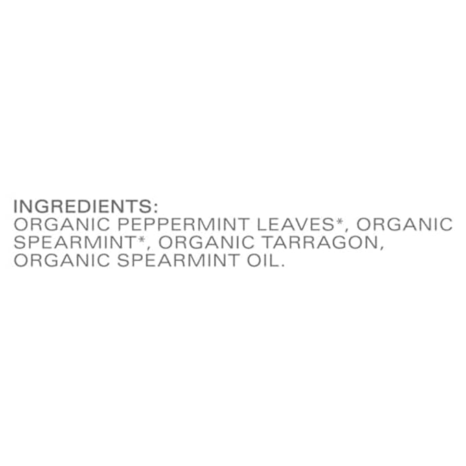 TAZO Refresh Mint Herbal Tea Bags, Caffeine Free, 96 Total Tea Bags (16ct - Pack of 6) - Bloomnest