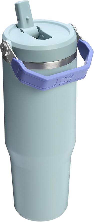 Stanley IceFlow 2.0 Flip Straw Tumbler with Handle 30 oz | Twist On Lid and Flip Up Straw | Leak Resistant Water Bottle | Insulated Stainless Steel | BPA-Free | Exclusive Blue Cactus - Bloomnest