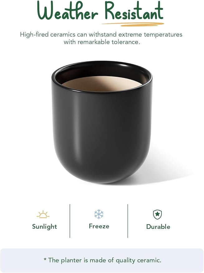 LE TAUCI 12 Inch Pots for Plants, Ceramic Large Planters for Home Garden Patio Office, Indoor Modern Plant Pots with Drainage Hole and Rubber Plug, Black - Bloomnest