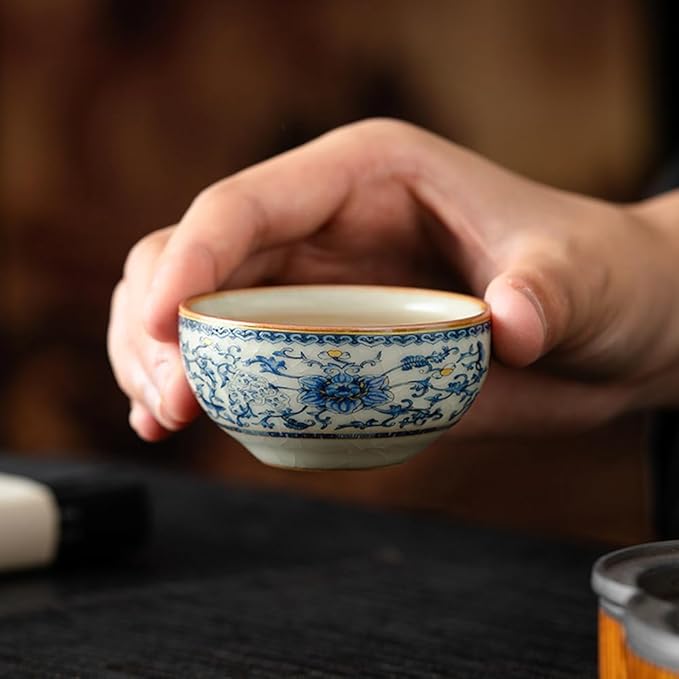 Chinese Tea Pot Sets,10 Pcs Portable Ceramic Cup for Tea, White And Blue Tea Kettle Set,Including 1 Teapot, 1 Tea Strainer, 7 Tea Cups, Asian Tea Sets For Adult,Home,gifing,Tea Lover And Office - Bloomnest