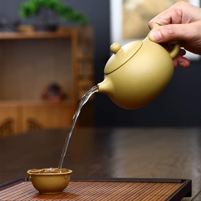 Xishi Teapot 15oz Chinese Zisha Clay Pot Ceramics Purple Sand Mud Kungfu Tea Set Kettle 9 Hole Filter (Yellow 450ml) - Bloomnest