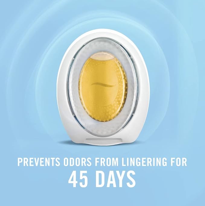 Febreze SMALL SPACES Fresh-Harvest Pumpkin - Bloomnest