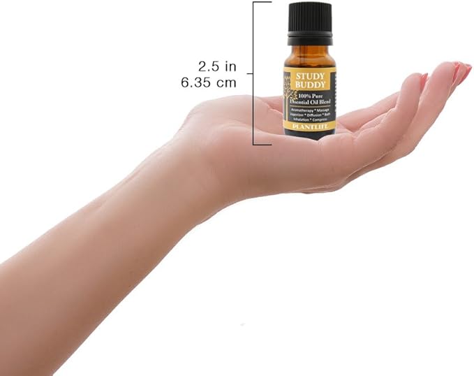Plantlife Study Buddy Aromatherapy Essential Oil Blend - Straight from The Plant 100% Pure Therapeutic Grade - No Additives or Fillers - Made in California 10 ml - Bloomnest