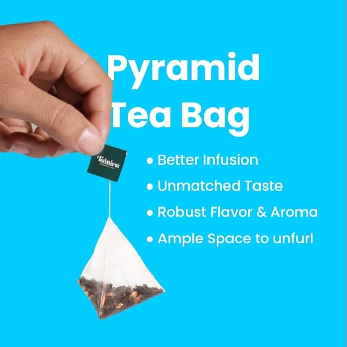 Teaniru, Winter Spice Tea, 1 Carton (Box of 80) - 560 Sachets | Pyramid Tea Bag | Wellness Tea For Corporates & Restaurant & Tea Lovers | Gluten Free, Sugar-Free - Brew Hot or Cold - Bloomnest