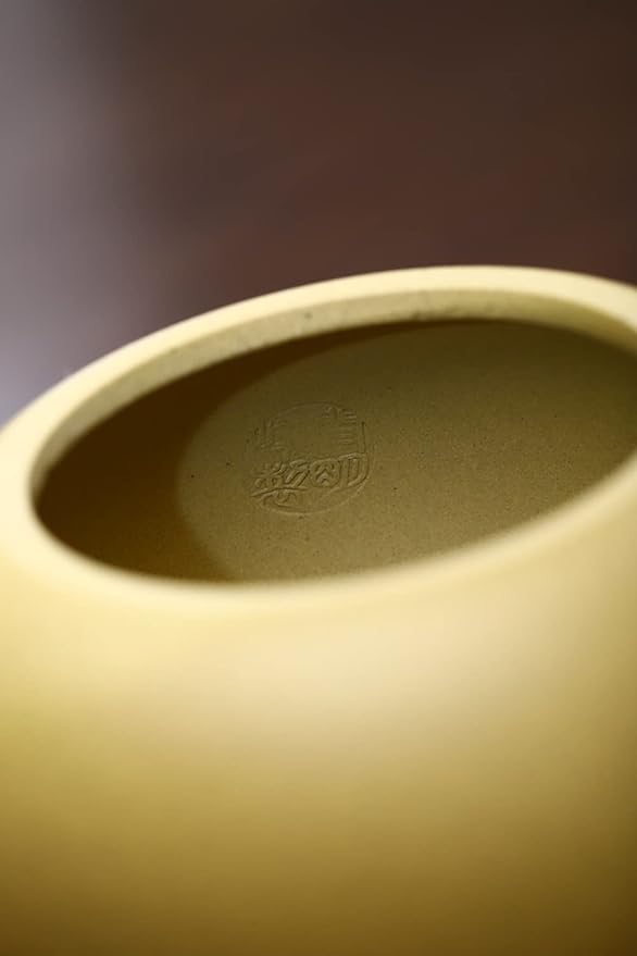 Xishi Teapot 15oz Chinese Zisha Clay Pot Ceramics Purple Sand Mud Kungfu Tea Set Kettle 9 Hole Filter (Yellow 450ml) - Bloomnest