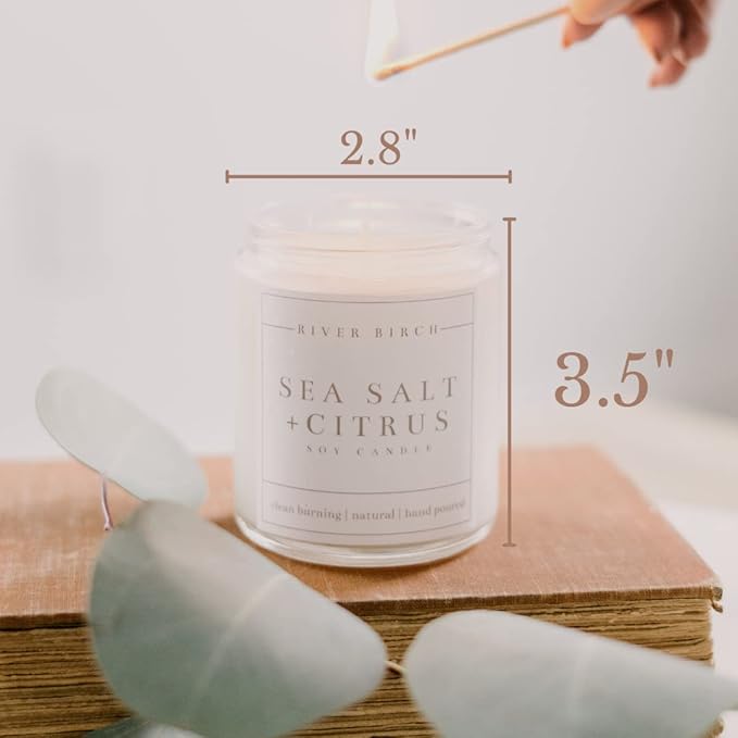 River Birch Candles Sea Salt & Citrus Scented Candle | Premium, All-Natural, Non-Toxic, Soy Candles | 8.5oz 40 Hr Burn Time | Cozy Relaxing Gifts for Home - Bloomnest