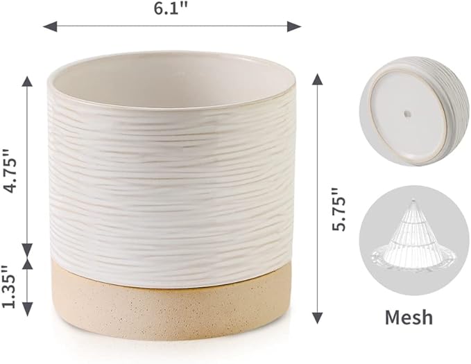 Nihow Ceramic Plant Pot: 6 Inch Planter with Drainage Hole & Saucer for Indoor & Outdoor Plants - Cylinder Round Flower Pot for Succulent/Herbs/Violets - Cream White & Brown - Bloomnest