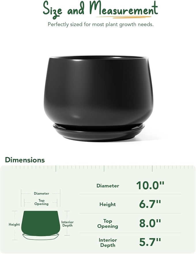 LE TAUCI Ceramic Planter, 10 Inch Plant Pot with Drainage Hole & Saucer – Durable Indoor Planter for Modern Home Decor, Black - Bloomnest