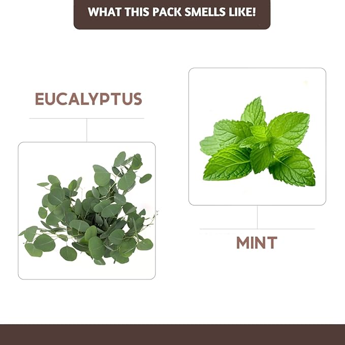 Folkulture Incense Sticks | Set of 100 Insence-Sticks with Holder for Relaxation | Eucalyptus & Mint Incense | Organic, Slow Burning & Non Toxic Inscents for Meditation |Rejuvenating Fragrance