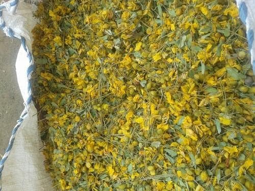 Neotea Dry Avarampoo | Tanner's Cassia | Senna Auriculata | 100% Natural & Sun-Dried Herbal Flower | Supports Glowing Skin & Overall Wellness | Ideal for Tea & Skin Care Remedies (500 GM) - Bloomnest