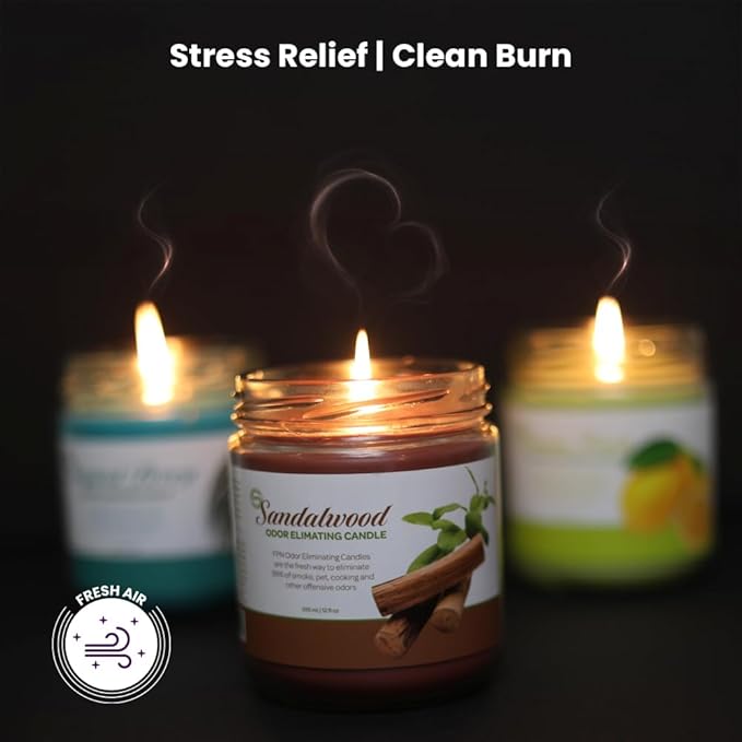 Candle Set Sandalwood Odor Eliminating – 2 Pack - 12oz – Long-Lasting Soy Wax Candles – Neutralizes Pet, Kitchen & Smoke Odors – Clean Burn, Eco-Friendly, Aromatherapy Candle - Bloomnest