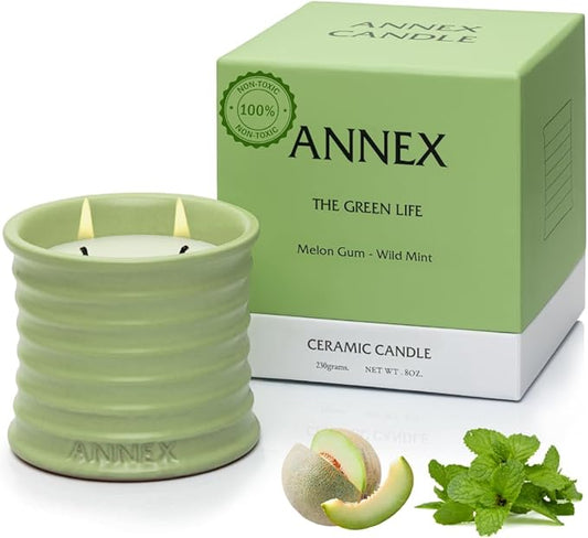 Scented Luxury Candles Outdoor Mosquito Bug Repellent Ceramic Jars, Soy Wax | The Green Life, Large Natural Candle - Green Melon & Peppermint | Non Toxic, 2 Wicks, Reusable Jar - Bloomnest
