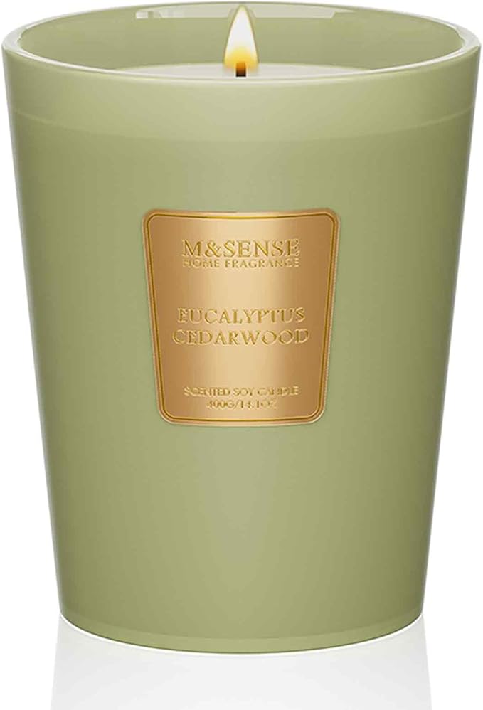 M&SENSE Eucalyptus Cedarwood Scented Natural Soy Wax Candle, 14.1oz 60 Hours Long Lasting Slow Burning, Aromatherapy Candle for Stress Relief Home Decor - Bloomnest