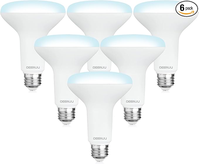 BR30 LED Bulb, Dimmable Flood Lights Indoor CRI80 7W Equivalent 65W 5000K Daylight 650 Lumens, 15000 Lifetime Hours Recessed Light Bulbs, Interior E26 Base LED Can Light Bulbs, 6 Pack - Bloomnest