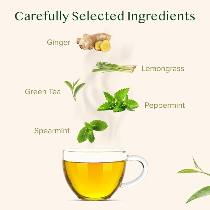 VAHDAM, Ginger Mint Green Tea Bags (100 Count) High Grown Green Tea with Raw Ginger | Medium Caffeine | Non GMO, Gluten Free | Mint Tea Bags | Resealable Ziplock Pouch - Bloomnest