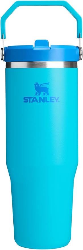 Stanley IceFlow 2.0 Flip Straw Tumbler with Handle 30 oz | Twist On Lid and Flip Up Straw | Leak Resistant Water Bottle | Insulated Stainless Steel | BPA-Free | Splash - Bloomnest
