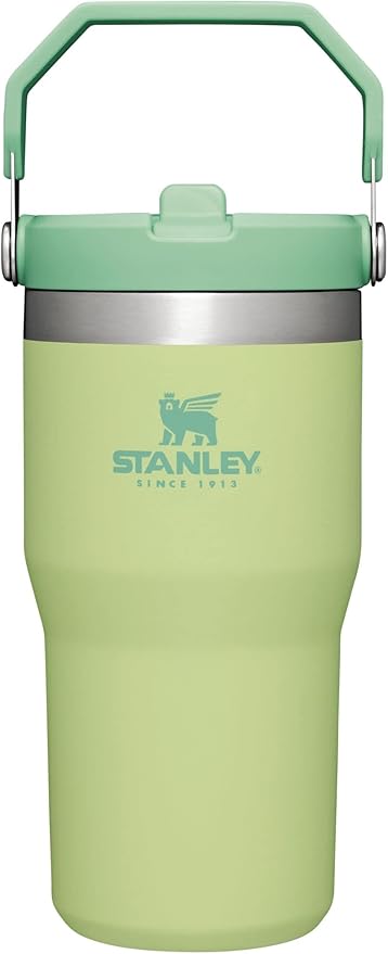 Stanley IceFlow Flip Straw Tumbler with Handle 20 oz | Twist On Lid and Flip Up Straw | Leak Resistant Water Bottle | Insulated Stainless Steel |BPA-Free | Citron - Bloomnest