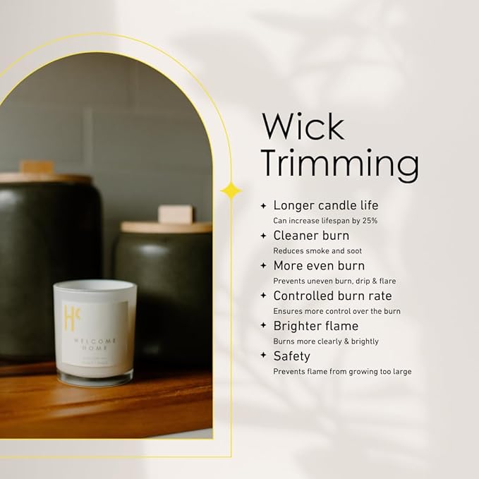 Welcome Home Single Wick Soy Candles, Luxury Scented Candles for Home - Up to 60 Hour Burn Time, Cruelty-Free Soy Wax Blend - Lemon Fragrance, Notes of Cinnamon & Clove (9 oz) - Bloomnest