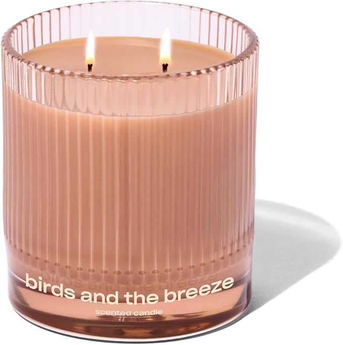 Birds and The Breeze Luxury Scented Candle by Snif, Light and Airy Scent, 50+ Hours, 100% Cotton Fiber Wicks, Soy Wax Blend, Non-Toxic, Vegan, 8.5 oz… - Bloomnest