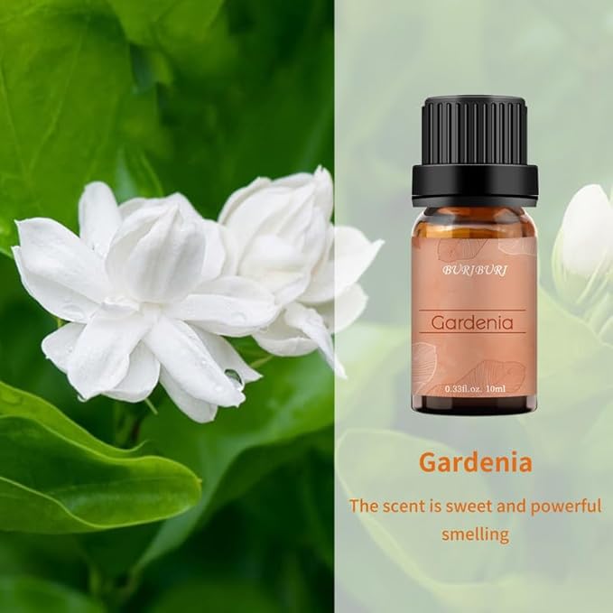 BURIBURI Jasmine Oil and Gardenia Essential Oils Gift Set, 100% Pure, Undiluted, Natural, Organic Aromatherapy Jasmine Essential Oils for Diffuser, Massage, 10MLx2 BURIBURI