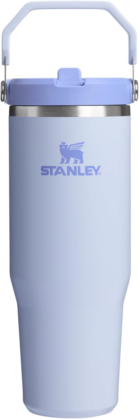 STANLEY IceFlow 2.0 Flip Straw Tumbler with Handle 30 oz | Twist On Lid and Flip Up Straw | Leak Resistant Water Bottle | Insulated Stainless Steel | BPA-Free | Dew Drop - Bloomnest