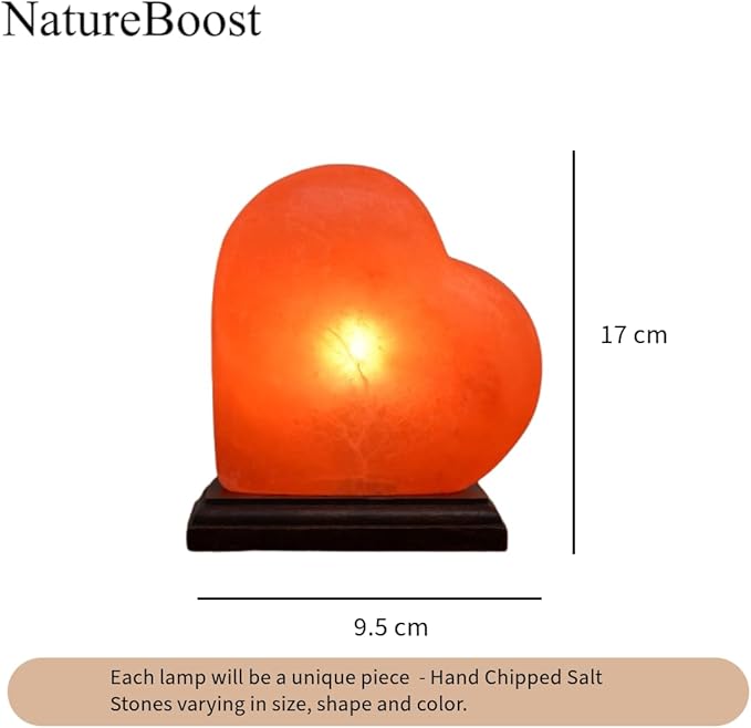 Himalayan Pink Salt Heart Lamp Comes with Dimmer Switch and a Pair of Bulbs (Heart 1) Gift Idea - Bloomnest