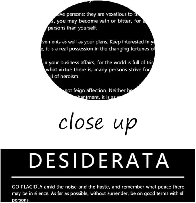 Motivational Canvas Wall Art for Office Desiderata Entrepreneur Quotes Inspirational Posters Picture Prints Canvas Modern Home Decor Painting Artwork Stretched and Framed Ready to Hang [24''W x 30''H] - Bloomnest
