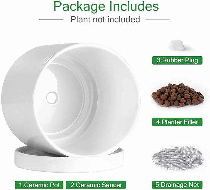 Aveyas 8 inch Ceramic Plant Pot with Drainage Hole and Saucer - Suitable for Indoor and Outdoor Use, Modern Planters for House Garden Flower Tree Snake Monstera Plants (8", Glossy White) - Bloomnest