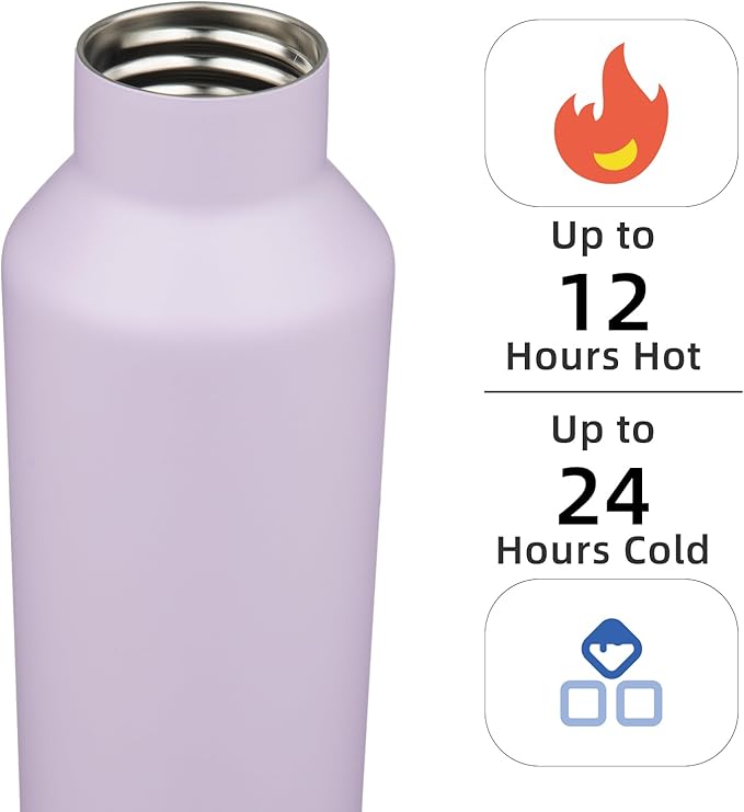 Insulated Water Bottle with Straw,25 OZ Double Wall Vacuum Stainless Steel Water Flask with 2 Lids,Purple - Bloomnest
