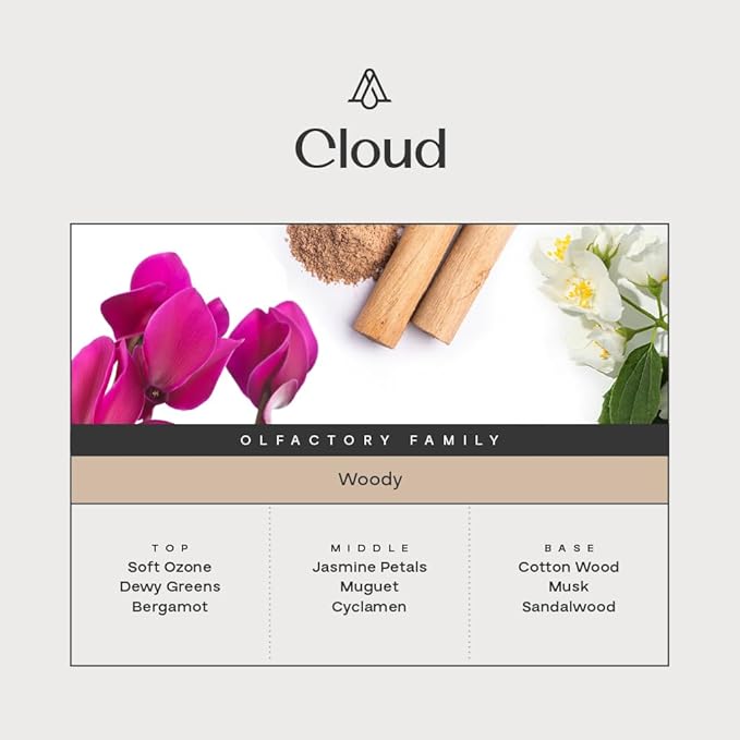 AromaPlan Hotel, Home Luxury Scents, Cloud 5.07 Fl Oz (150ml) | Fragrance for Cold Air & Waterless Diffuser Oil | Home Luxury & Hotel Scent for Aromatherapy- USA Made, Bigger Bottle & Longer Lasting - Bloomnest
