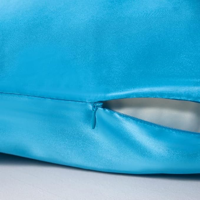 Mulberry Silk Pillowcase for Hair and Skin,Standard Size Cooling Silk Pillow Case with Hidden Zipper,Allergen Proof Dual Sides Soft Breathable Smooth Silk Pillow Cover for Women(Standard,Ice+ Blue) - Bloomnest