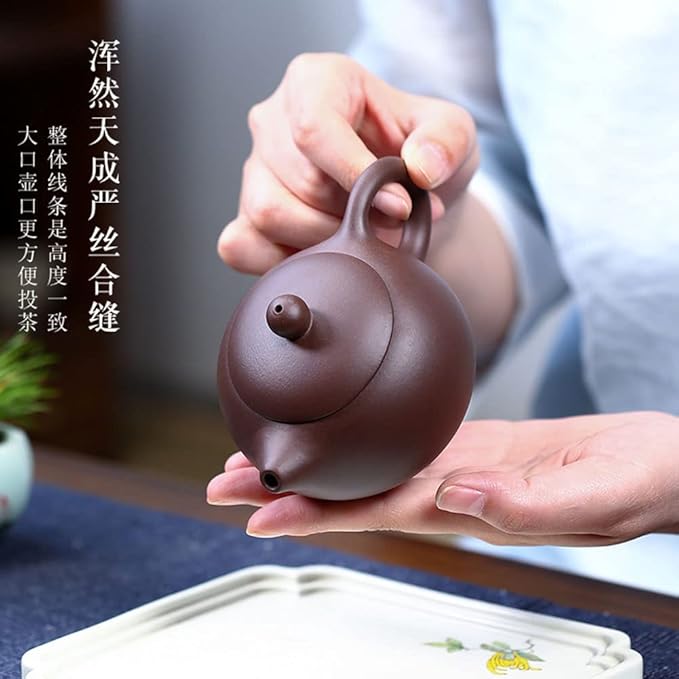 Xishi Teapot 7oz Chinese Zisha Clay Pot Ceramics Purple Sand Mud Kungfu Tea Set (purple 9 hole filter) - Bloomnest